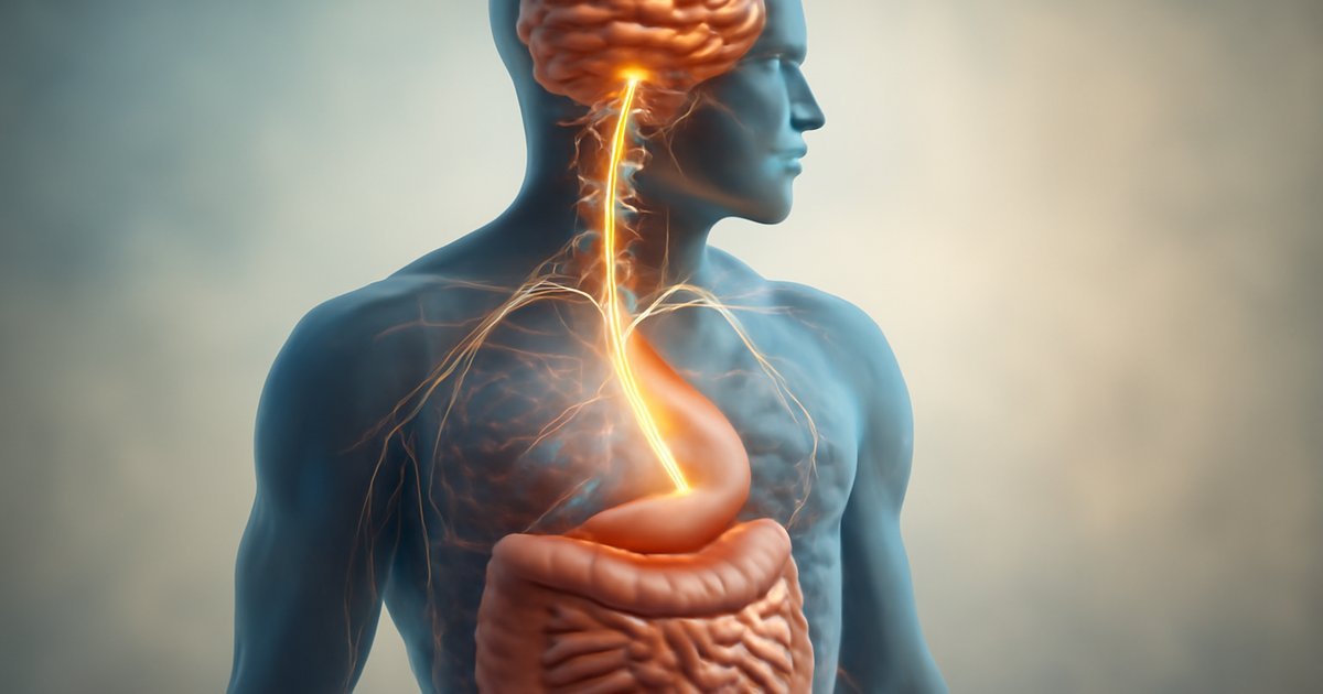 The Gut-Brain Connection: How Your Digestive Health Affects Your Mind